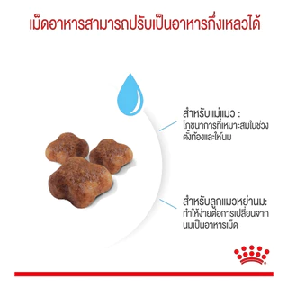 Royal Canin Mother & Baby cat 2 kg. (อาหารเม็ดสำหรับลูกแมวช่วงหย่านม 1- 4เดือนและแมวระยะตั้งท้อง)