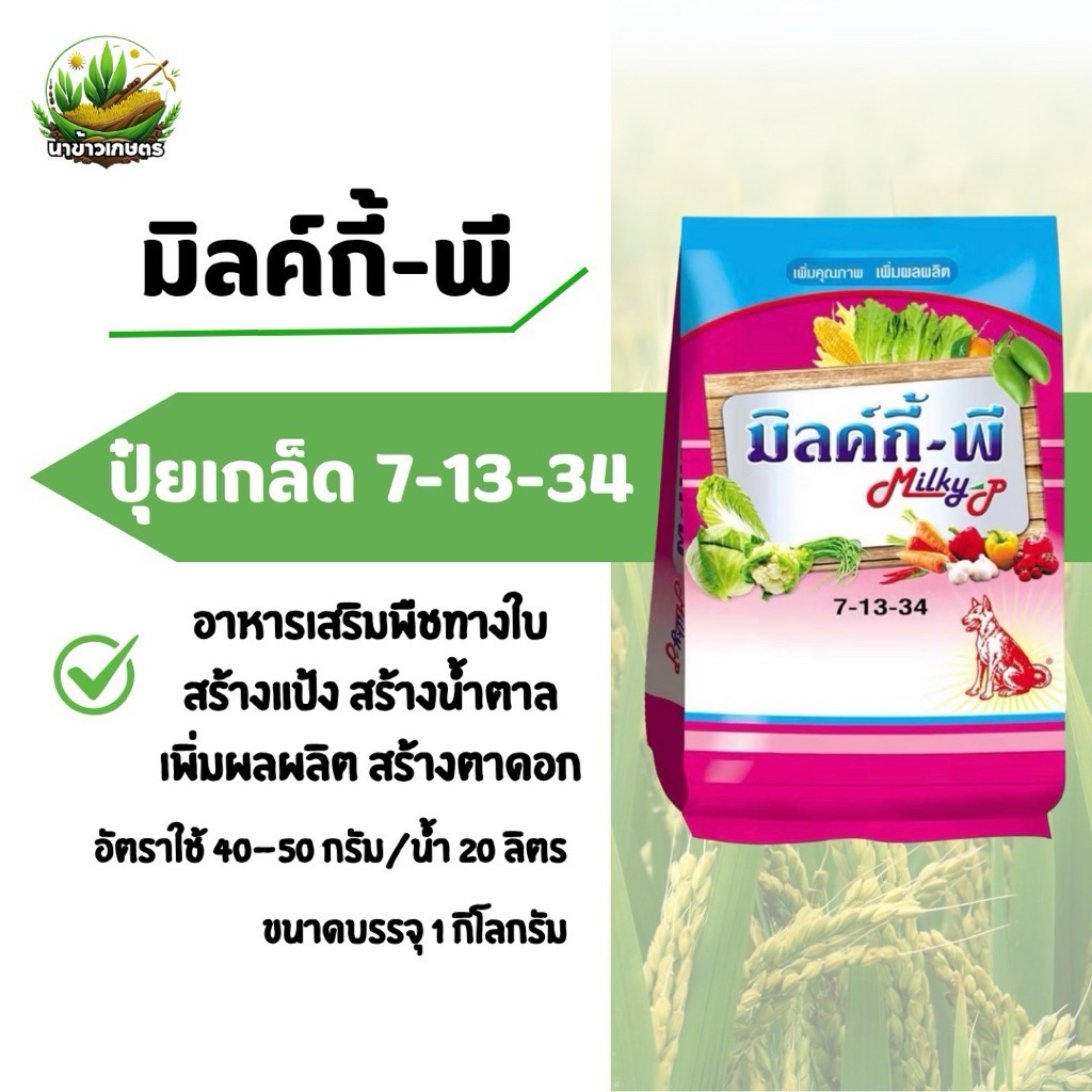 ปุ๋ยเกล็ด 7-13-34 มิลค์กี้-พี (ตราหมาแดง) 1 กก. อาหารเสริมทางใบ สร้างแป้ง สร้างน้ำตาล เพิ่มผลผลิต ใช้ได้กับพืชทุกชนิด