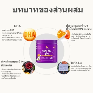Popoo แพ็คสุดคุ้ม 2สูตร Hip & Joint Mobility และ Silky Fur for Dogs ขนมสุนัข บำรุงสะโพกและข้อต่อ ส่งเสริมสุขภาพผิว