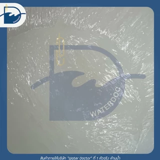 [ส่งด่วน ออกบิลได้] N70 หัวเชื้อทำแชมพู ทำน้ำยาล้างจาน diy เกรดเครื่องสำอางค์ Sodium Laureth Sulfate[SLES](500g/1kg)
