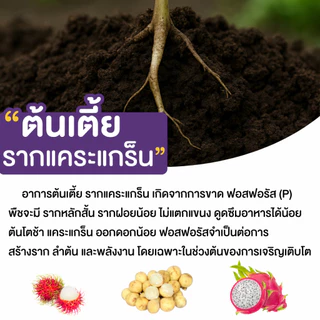 Bionic ไบโอนิค 9 (สารเร่ง 9)* จุลินทรีย์ละลายฟอสฟอรัส ปรับดินกรด ดินเปรี้ยว พืชโตไว แข็งแรง