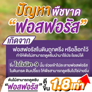 Bionic ไบโอนิค 9 (สารเร่ง 9)* จุลินทรีย์ละลายฟอสฟอรัส ปรับดินกรด ดินเปรี้ยว พืชโตไว แข็งแรง