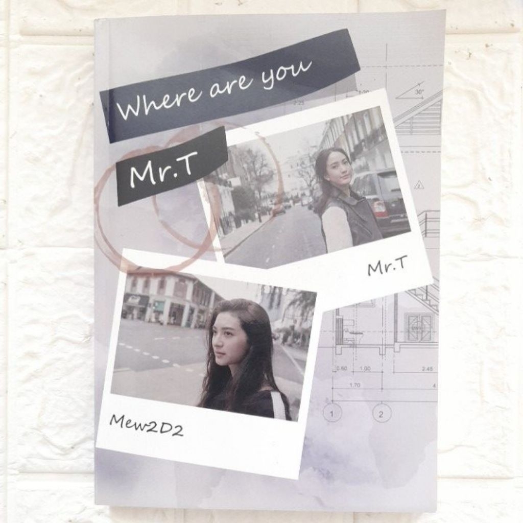 หนังสือ Where are you Mr.T