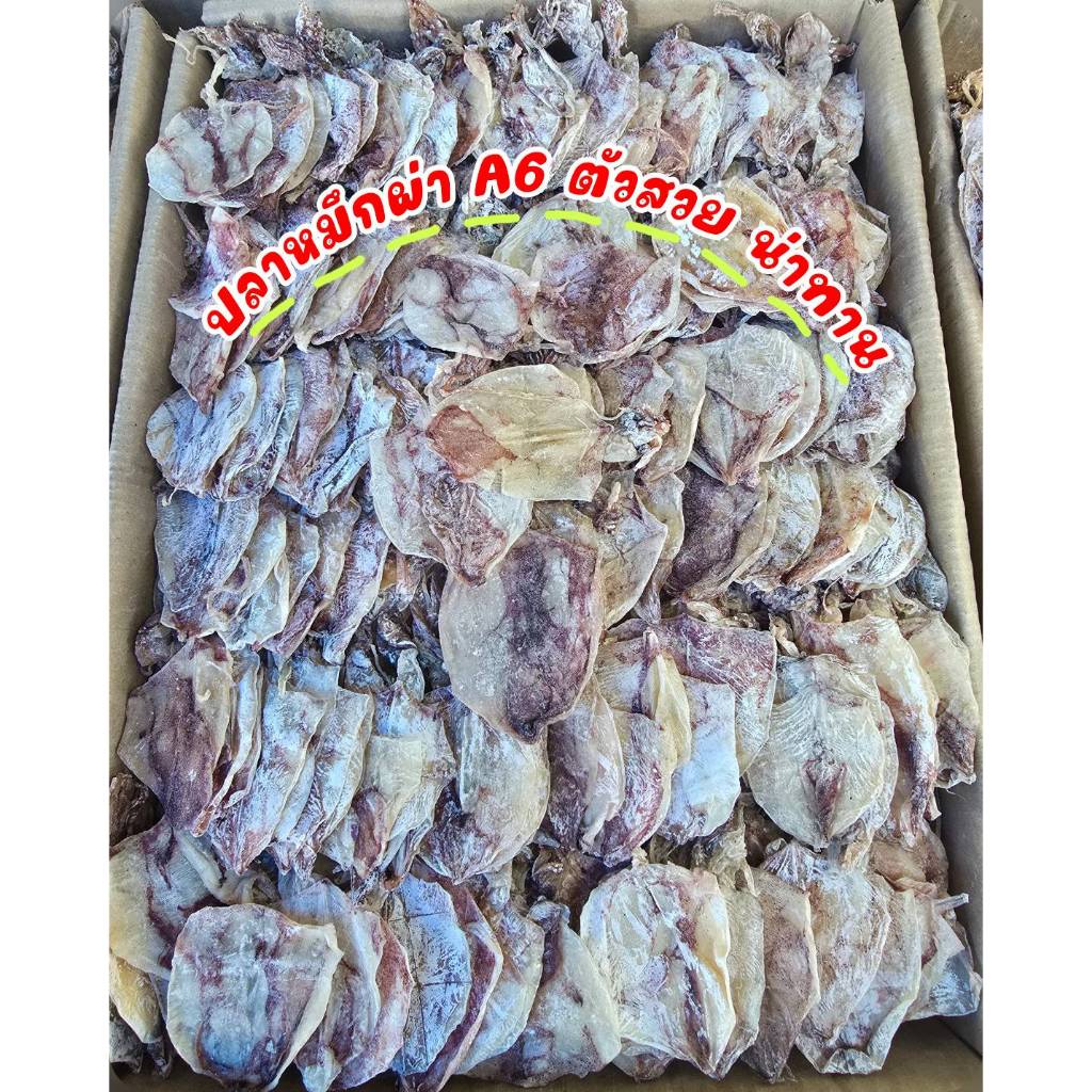 ปลาหมึกแห้งเกรดพรีเมียม ไซส์ A6 / ไซส์กลาง [ 500 กรัม / 1000 กรัม ] เนื้อแน่น สวยสะอาด รสชาติกลมกล่อม คัดสรรจากปลาหมึกสด