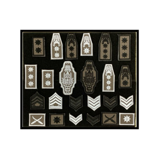 เครื่องหมายตำรวจ ยศตำรวจติดชุด สนว. เย็บตีนตุ๊กแก