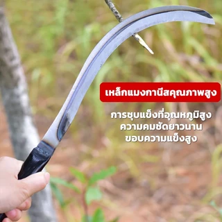 คียวเหล็กแมงกานีสพร้อมมีดถางหญ้า คู่มือคันท์และจับกลม สำหรับเกี่ยวหญ้าและข้าว เคียวเหล็กแมงกานีส ใช้งานได้หลากหลาย