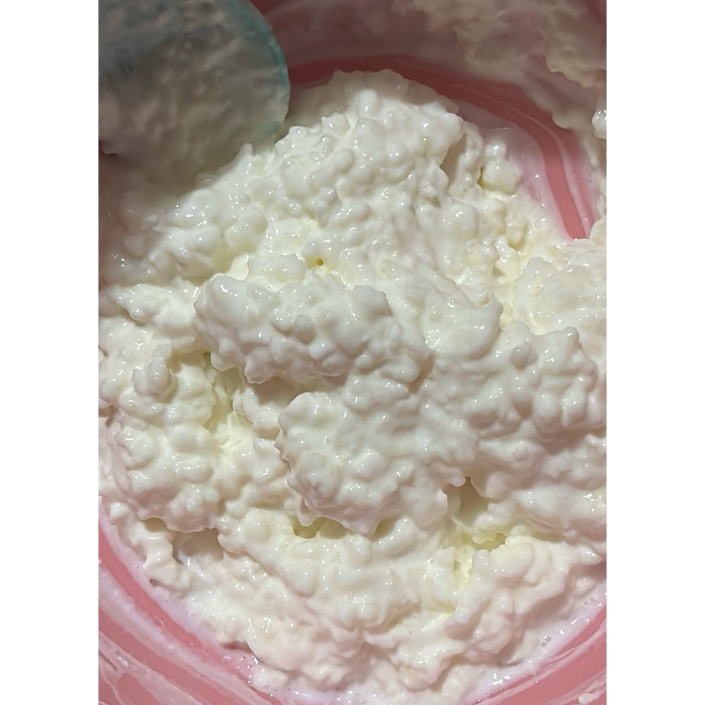 เกรนคีเฟอร์(5สายพันธุ์) Kefir grain