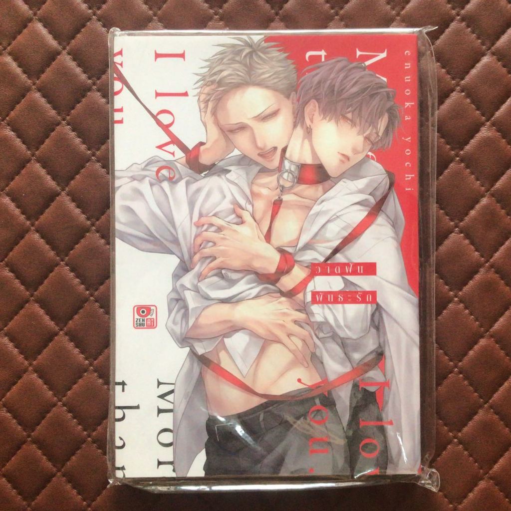 วาดฝันพันธะรัก (การ์ตูนเล่มเดียวจบ) Zenshu Comics Boy Love Romantic Y  KISU WA TSUGAI NI HIZAMAZUKU.