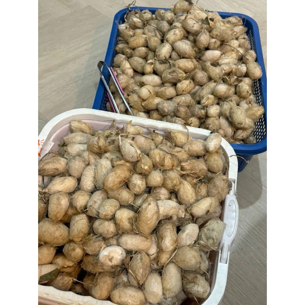 พร้อมจัดส่ง 🧡‼️ ชีสยักษ์ จีนใหญ่ โปรตีนสำหรับสัตว์เลี้ยง ไขมันต่ำ ประโยชน์สูง