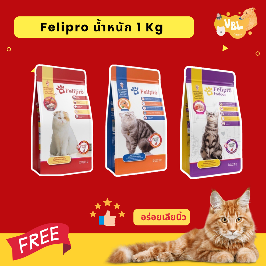 ส่งด่วนได้ของเลย Felipro อาหารแมว เฟลิโปร ลดการเกิดนิ่ว พัฒนาสูตรโดยสัตวแพทย์เพื่อสุขภาพที่ดีในระยะยาว น้ำหนัก 1  กก.