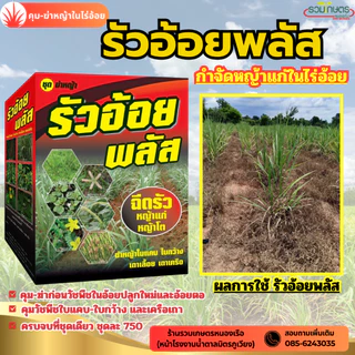 รัวอ้อยพลัส โฉมใหม่ (โปรโมชั่น) สูตรอัพเกรดเพิ่มจำนวนยาในชุด มีถึง 4 ตัว ออกฤกธิ์เร็วแรง ครบจบชุดนี้