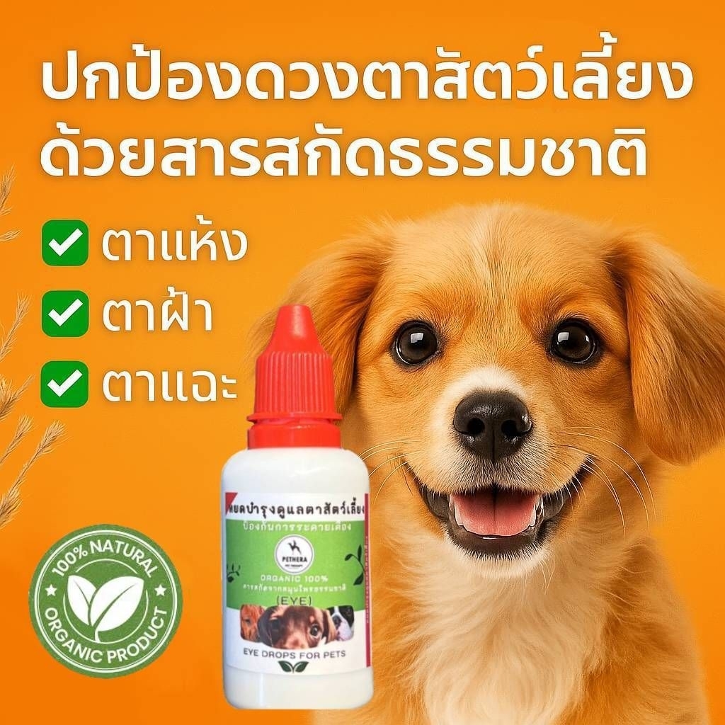 หยอดตาสุนัข/แมว ลดอาการตาอักเสบ บรรเทาต้อในตา สกัดจากธรรมชาติล้วน ปลอดภัย