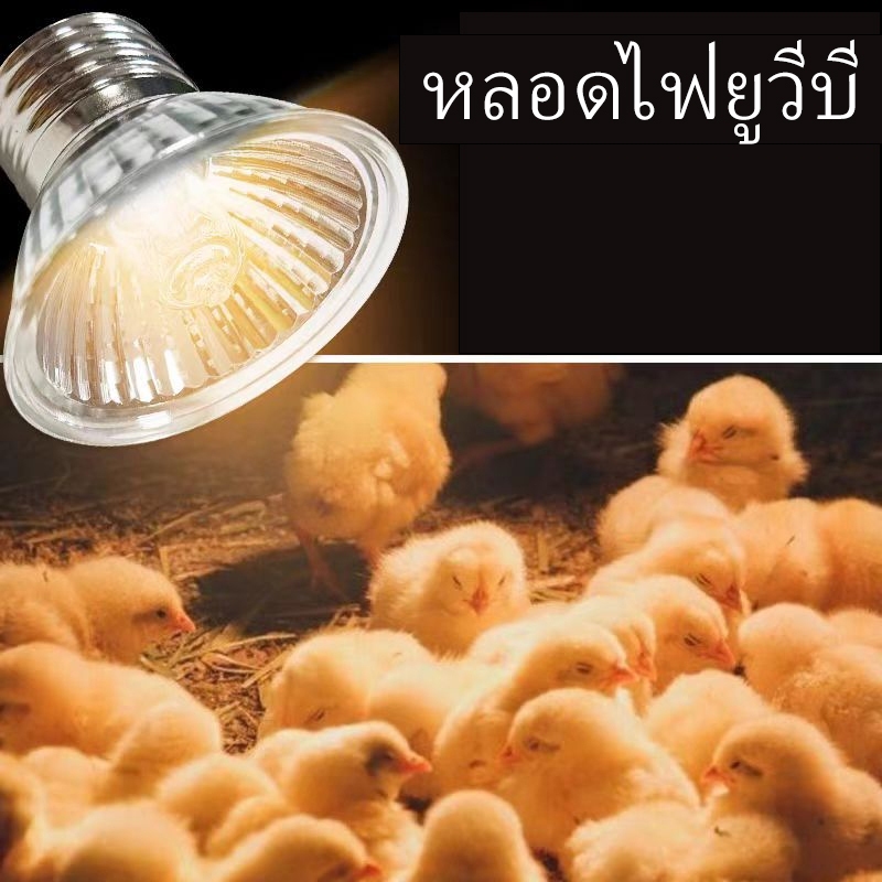 หลอดไฟuvb หลอดไฟuva เครื่องทำความร้อน UVA+UVB ให้ความร้อนหลอดแสงอาทิตย์