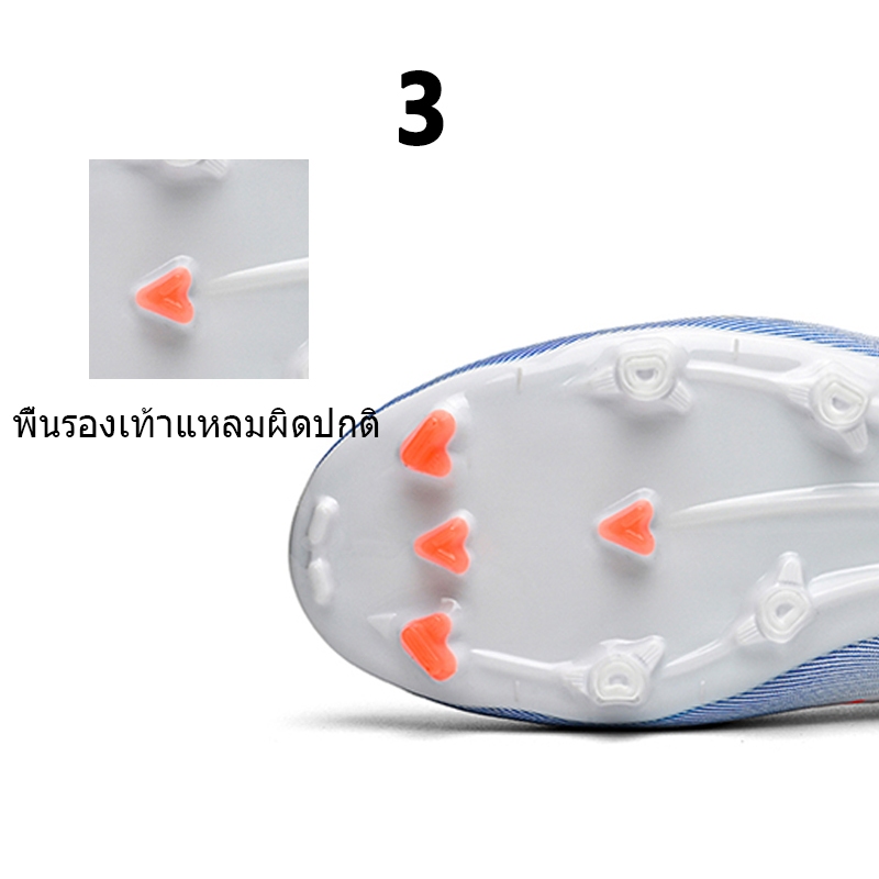 รูปภาพ 4