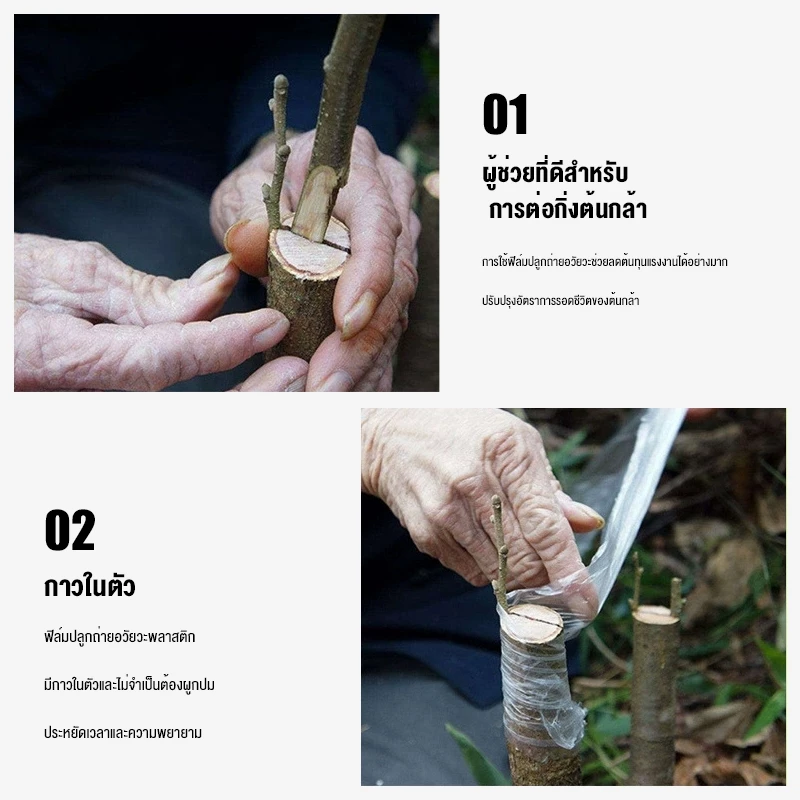 เทปพันกิ่งไม้ UF 3/5cm x 200m อุปกรณ์ตอนกิ่ง ทำสวน thumbnail 4