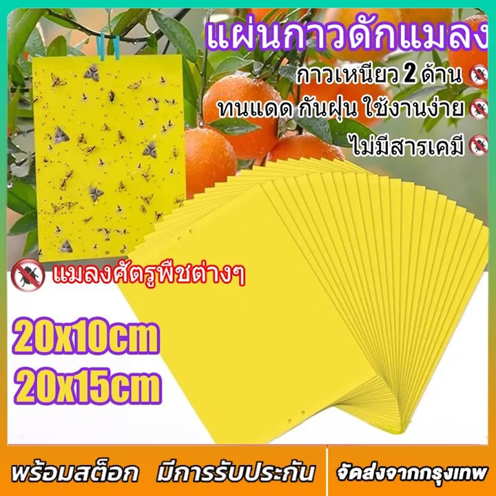แผ่นกาวดักแมลง สีเหลือง แผ่นกาวดักแมลง 20*10/15cm กาวเหนียว 2 ด้าน เหนียว ทนแดด มีกาวในตัว