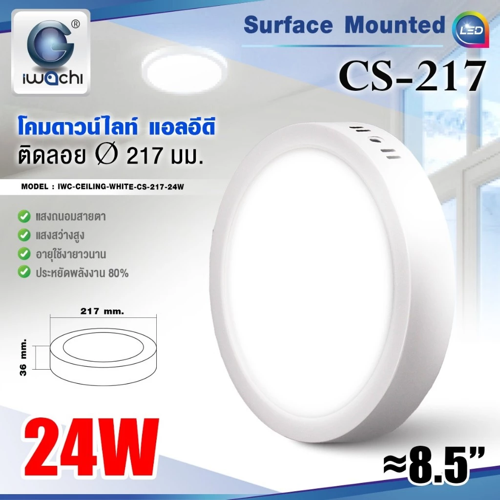 IWACHI โคมดาวน์ไลท์ ติดลอย ถนอมสายตา ทรงกลม ไดร์เวอร์รวม 12W 18W 24W 30W แสงขาว แสงวอร์ม