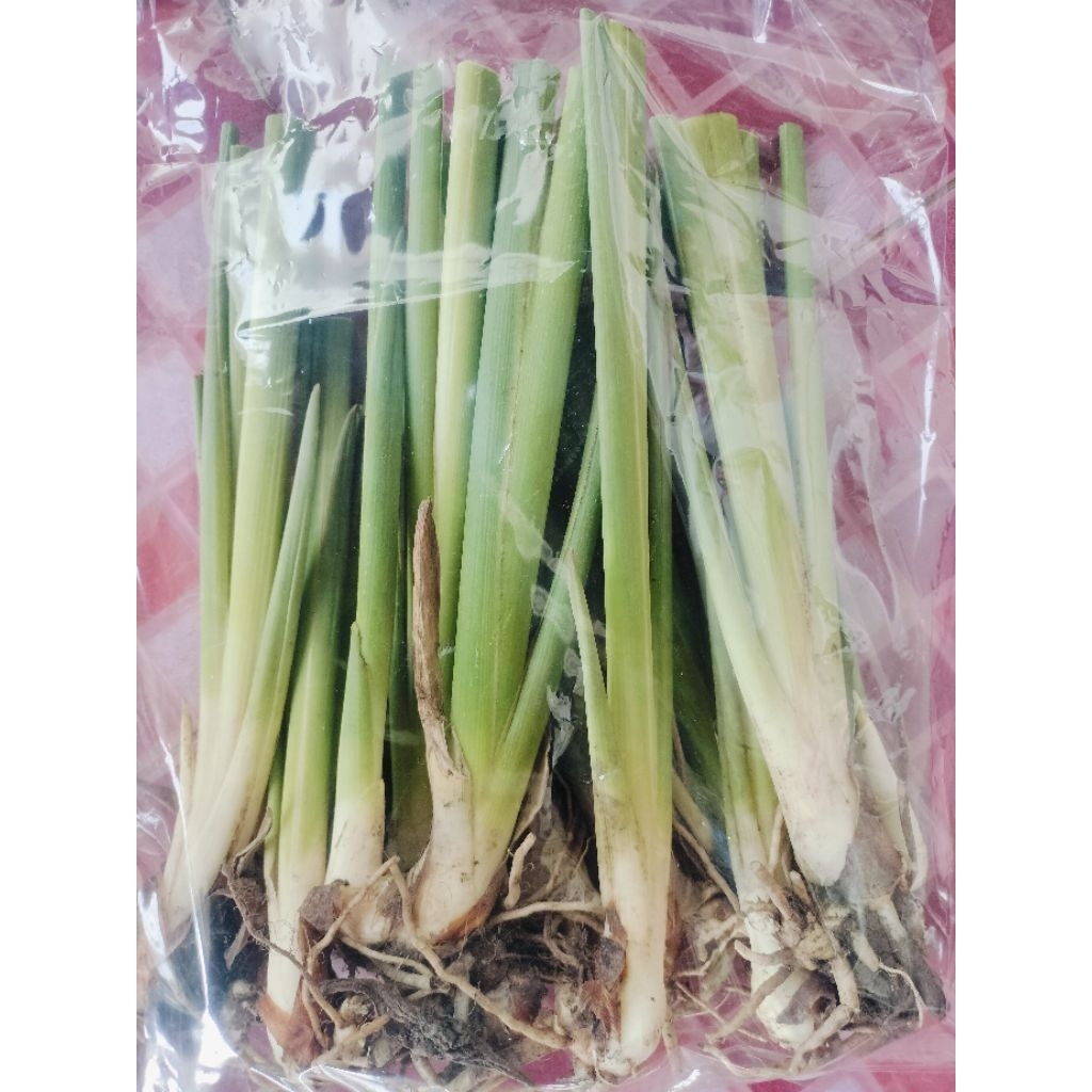 ต้นพันธุ์ กระเจียวหวานเพรชน้ำผึ้ง ดอกสามารถรับประทาน ได้ 10 ต้นมีแถม
