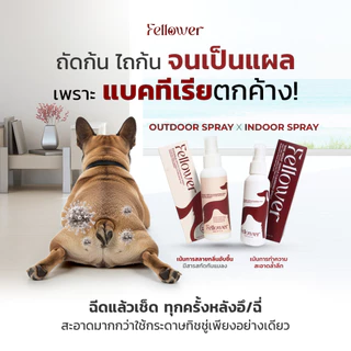 Fellower Duo Spray Set ชุดสเปรย์คู่สุนัข สเปรย์ทำความสะอาดอุ้งเท้า + สเปรย์เช็ดก้น 2 สูตร 2 กลิ่น ลดกลิ่นอับ