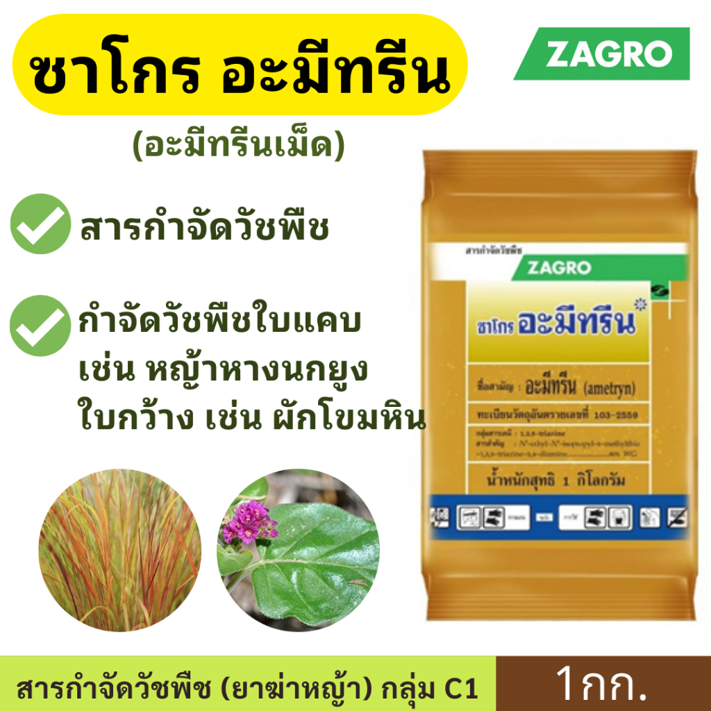 ซาโกร อะมีทรีน ( อะมีทรีน ) ขนาด 1กก. ตราซาโกร ใช้ในการกำจัดวัชพืช สารกำจัดวัชพืชทั้ง ใบเเคบ ใบกว้าง