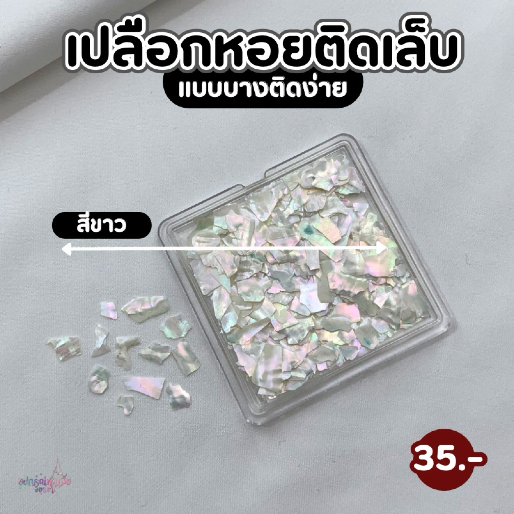 เปลือกหอยติดเล็บแบบบาง ติดง่าย อย่างดี โทนสีสวยละมุน
