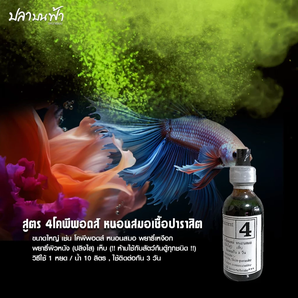 ใบโอน็อค BIO-KNOCK ผลิตภัณฑ์ดูแลปลา มี 4 สูตร สำหรับปลาสวยงาม ใช้ได้กับปลาน้ำจืด และปลาทะเล thumbnail 3