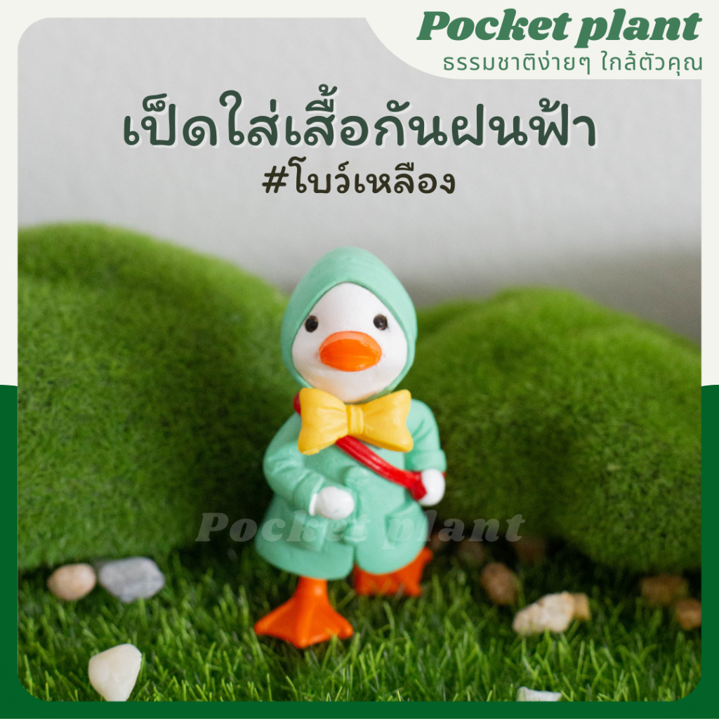 มุมมอง 4