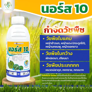 นอร์ส 10 บีสไพรีแบก-โซเดียม 500 ซีซี หัวเสือ สูตรน้ำ สูตรใหม่ ดูดซึมดีกว่าเดิม กำจัดหญ้าในนาข้าว