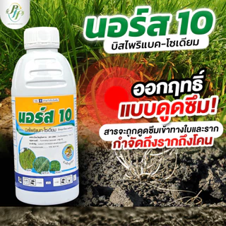 นอร์ส 10 บีสไพรีแบก-โซเดียม 500 ซีซี หัวเสือ สูตรน้ำ สูตรใหม่ ดูดซึมดีกว่าเดิม กำจัดหญ้าในนาข้าว