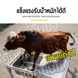 🔥NEW สแตนเลสหนาขึ้น 304 อ่างสแตนเลส🔥 ไม่ขึ้นสนิม ซิงค์ล้างจาน ซิ้งล้างจาน อ่างล้างจาน1หลุม（ถ้าเสียหาย เรารับผิดชอบ）