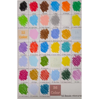 COLLEEN Oil Pastel premium quality สีชอล์ค คอลลีน คุณภาพสูง จัมโบ้ 12, 16, 25, 36 colors แถมสมุดระบายสีเสริมทักษะเด็ก
