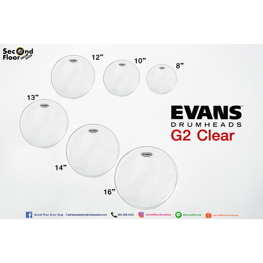 หนังกลอง Evans G2 มีหลายขนาด