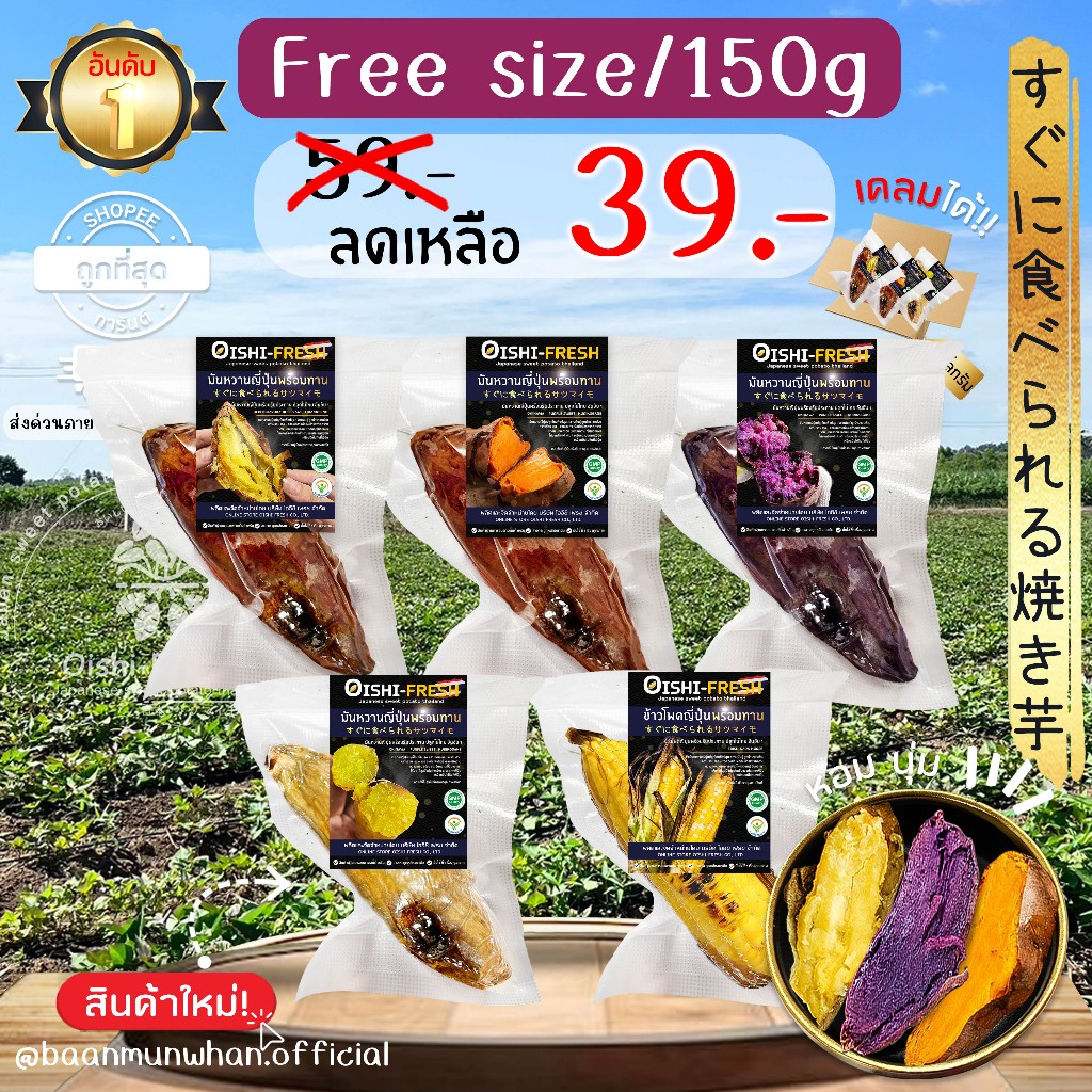 Oishi-Fresh มันหวานญี่ปุ่น🇹🇭ปลูกไทย🇹🇭เบนิฮารุกะ โอกินาว่า เพอเพิ่ลสวีท เผาพร้อมทาน หอม หวาน จัดส่ง 24 ชม.