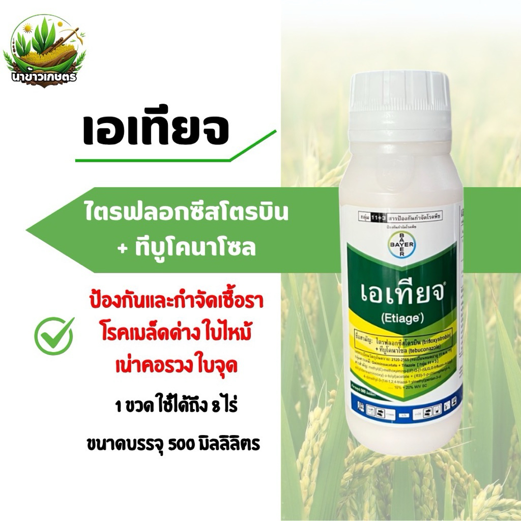 เอเทียจ (ไตรฟอสอซอกซิสโตบิน10%+ทีบูโคลนาโซล20%) 500 ml. สารป้องกันและกำจัดเชื้อรา ใช้ได้ทั้งนา ไม้ผล ผัก