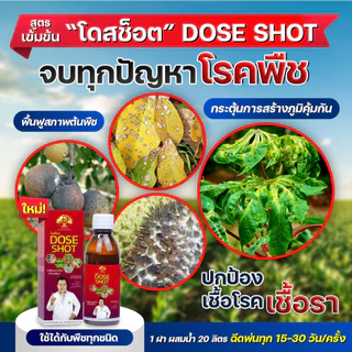 [ร้านค้าบริษัท] กำจัดโรคพืช โดสแว๊ค 1 ขวด เสริมการต้านทานโรคพืช เชื้อโรค เชื้อรา แบคทีเรีย ไวรัส