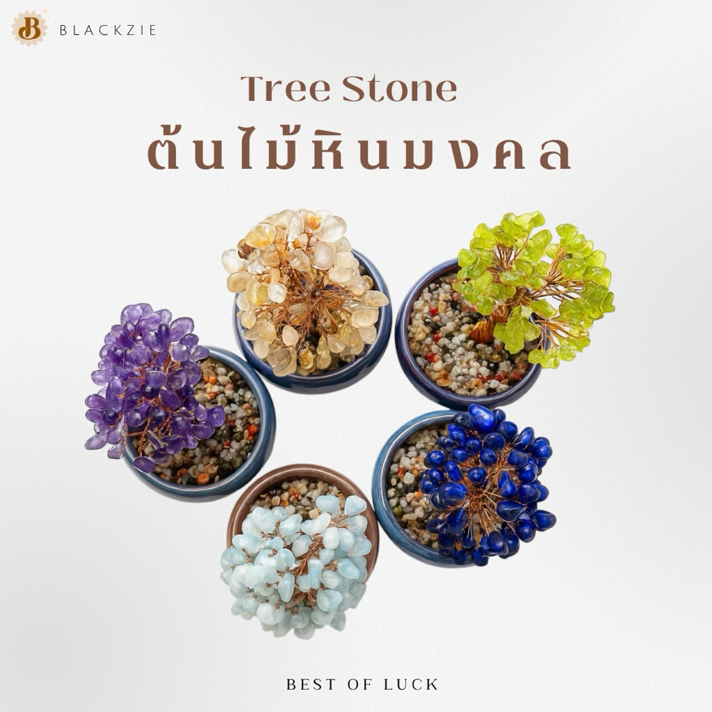 (แถมกล่อง ของแท้ ส่งด่วน!)  ต้นไม้หินมงคลเสริมดวง 🌳✨ตั้งโต๊ะสุดปังมาแล้วค่า วางตกแต่งโต๊ะทำงาน ของขวัญ