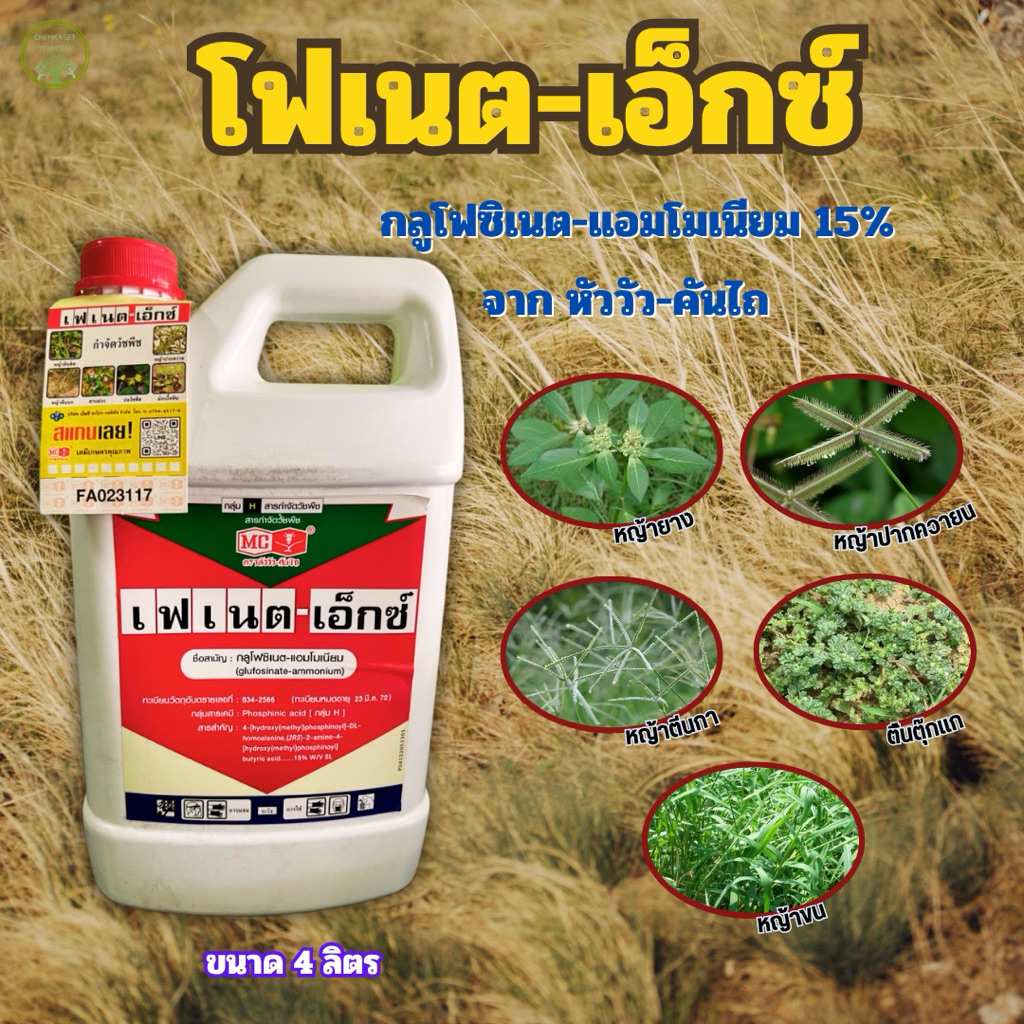 🌱กลูโฟซิเนต-แอมโมเนียม15% 🌱ตราหัววัว-คันไถ กำจัดวัชพืชทั้งใบแคบและใบกว้าง