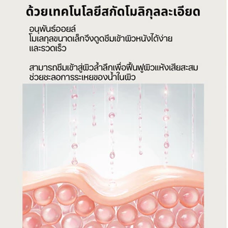 FRESHERAL Vit C BODY OIL บอดี้ออยล์ วิตามินซี ออยล์ทาผิวออร์แกนิค (แพนเค้ก เขมนิจ เลือกใช้) ผิวฉ่ำโกลว์ ซึมไว ไม่เหนียว