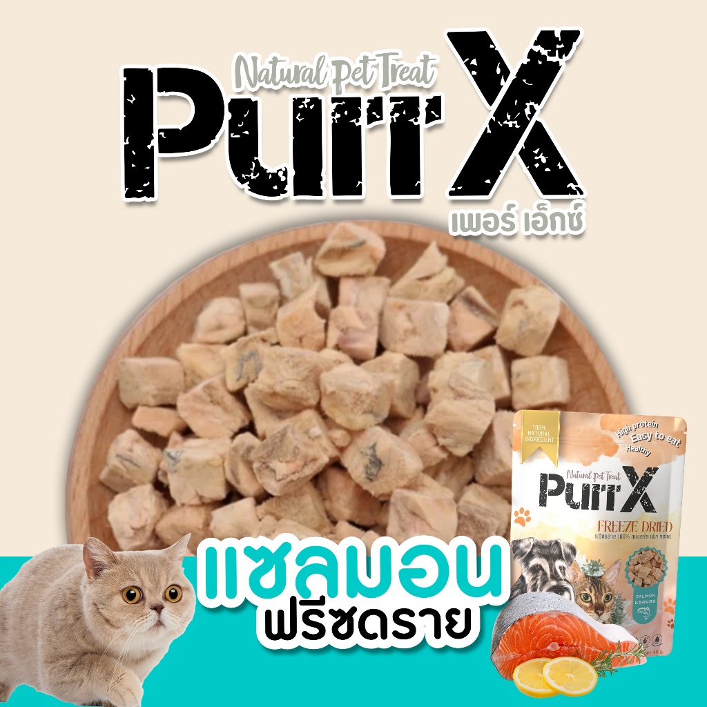 【3 แถม 1 คละได้ 】Purr X ขนมฟรีซดรายเกรดพรีเมียม สูตรเนื้อปลาแซลมอน ขนาด 40 กรัม Freeze Dried Salmon 40 g. - รูปที่ 2
