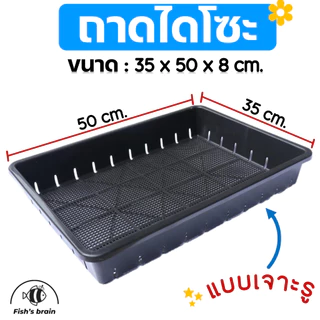 ถาดไดโซะ ถาดเพาะกล้า ถาดเพาะชำ แบบทึบ แบบเจาะรู