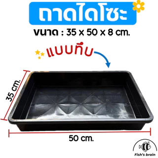 ถาดไดโซะ ถาดเพาะกล้า ถาดเพาะชำ แบบทึบ แบบเจาะรู