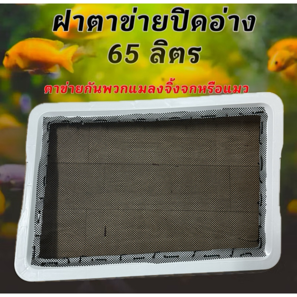 ฝาตาข่ายปิดอ่างขนาด 65 ลิตร กันพวกแมลงจิ้งจกเข้าไปก่อกวนปลาหรือลูกปลา อ่างปลา อ่างปลาเมกาดะ อ่างปลาบอลลูน อ่างปลาสวยๆ - รูปที่ 2
