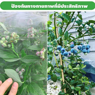 Daily Gold มุ้งขาว มุ้งขาวโรงเรือน 32ตา/40ตา/60ตา มุ้งกันแมลงผัก ตาข่ายกันแมลง มุ้งโรงเรือน กันแมลง มุ้งปลูกผัก