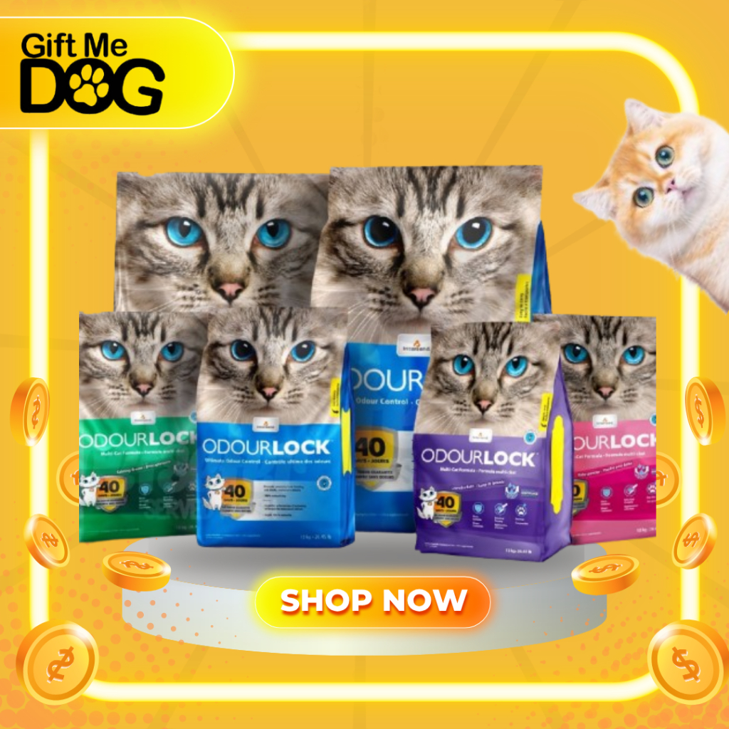 ODOUR LOCK Ultra Premium โอโดล็อค ทรายแมวหินภูเขาไฟอัลตราพรีเมี่ยม ขนาด12kg