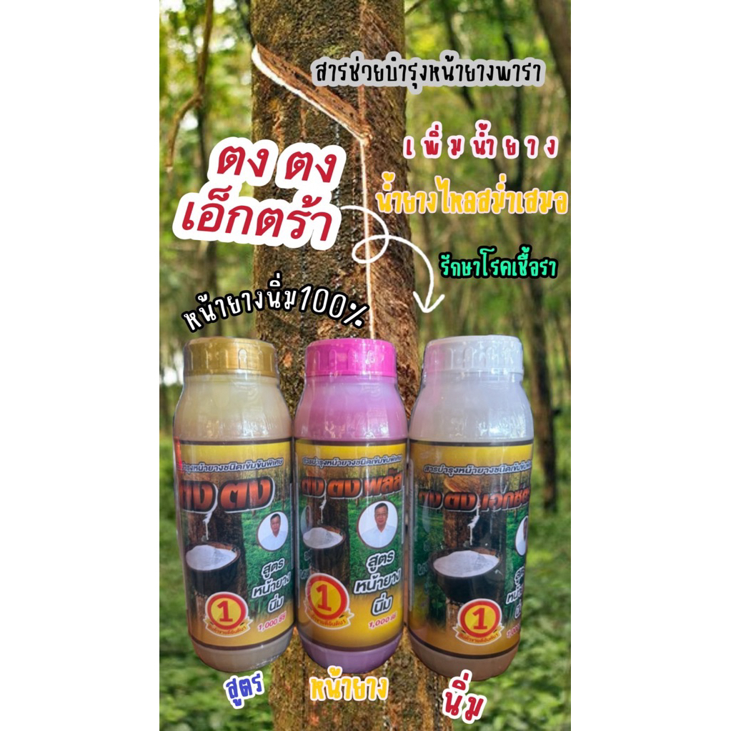 สารบำรุงหน้ายางชนิดเข้มข้นพิเศษ (ตง ตง) ขนาก 1000 ซีซีหน้ายางเรียบสวย  ยางไหลดีสม่ำเสมอ ป้องกันและรักษาโรคเชื้อราทุกชนิด
