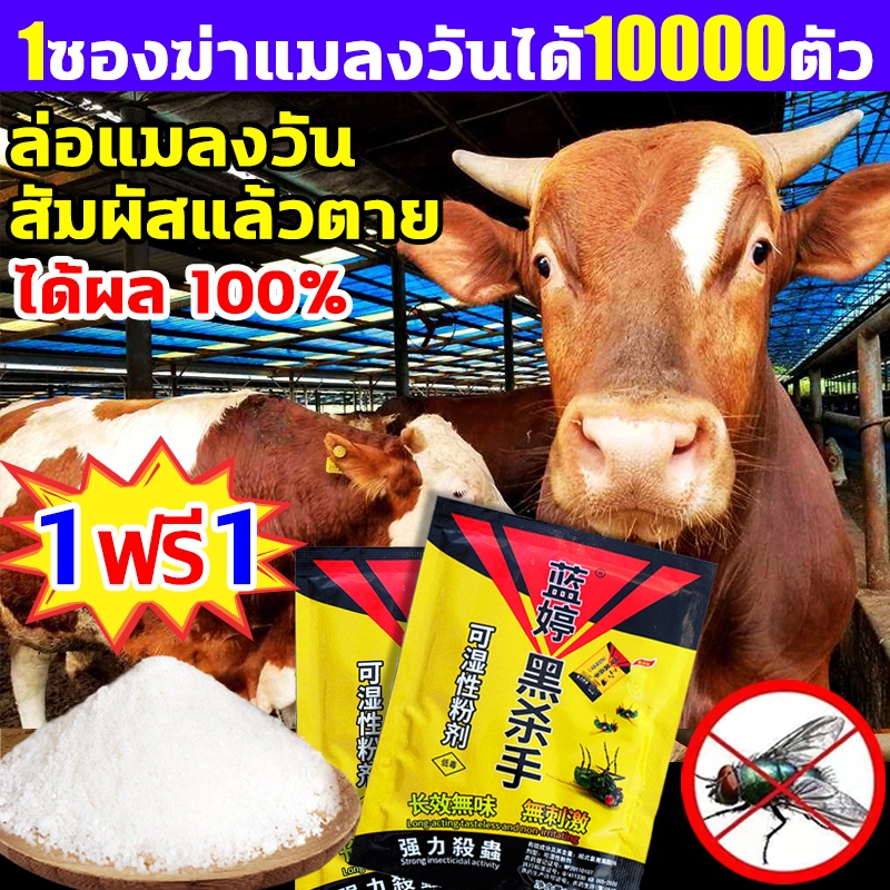 1 ซองสามารถฆ่าแมลงวันได้10000ตัว ผงกำจัดแมลงวัน ไม่มีรสชาติ ได้ผล100%ผงไข่เน่า นสัมผัสตาย