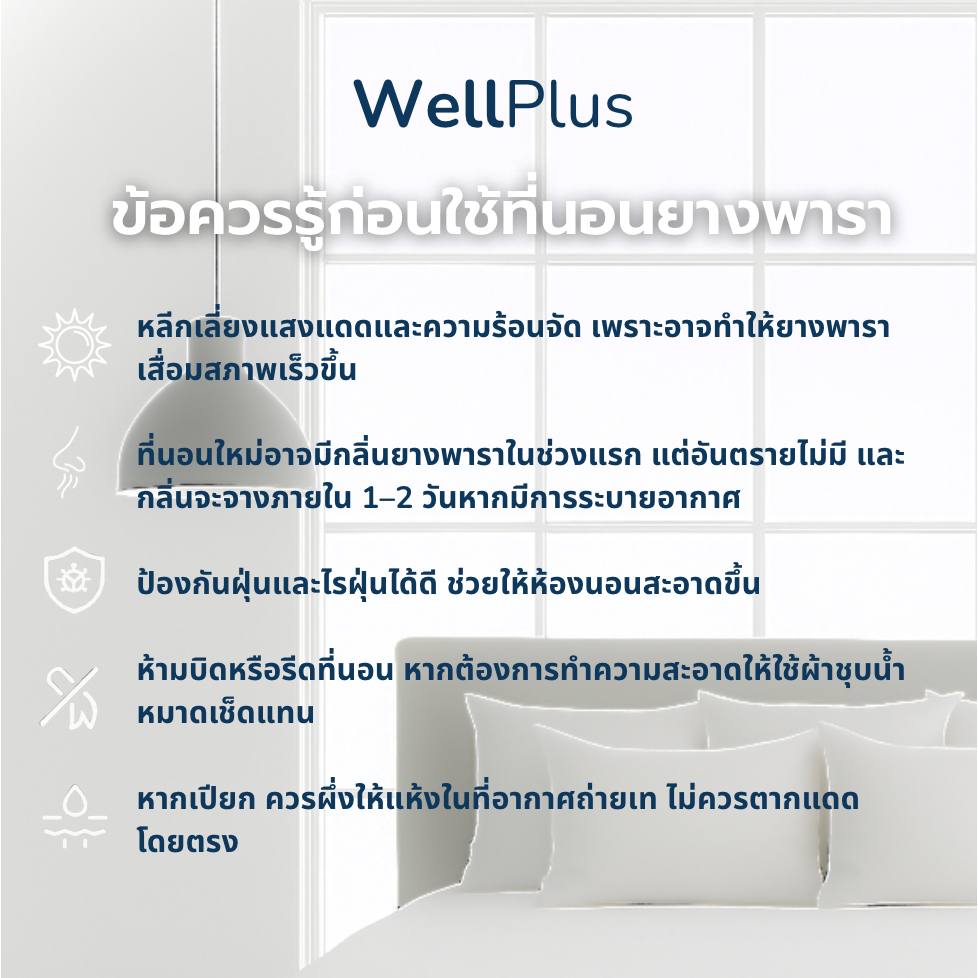 [รับประกัน 10 ปี] WellPlus ที่นอนยางพาราแท้อัดสุญญากาศ รุ่น Meryl  สัมผัสนุ่มแน่น นอนสบายรองรับสรีระ - รูปที่ 2