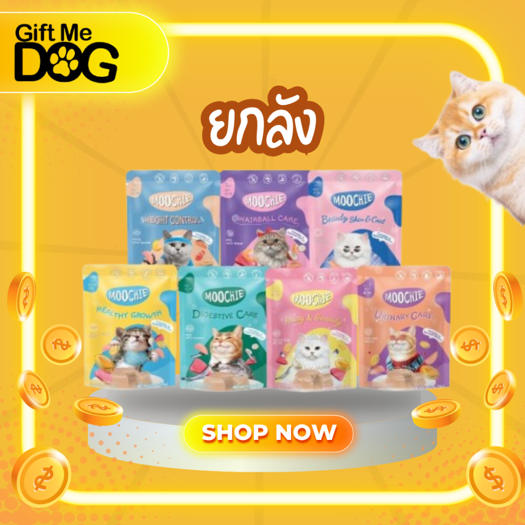 ยกลัง48ซอง Moochie Catมูชี่ อาหารเปียกแมวเพื่อสุขภาพ ไม่เติมเกลือ มูชี่แมว