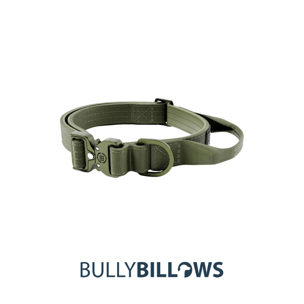 BullyBillows 2.5cm LIGHTER Combat® Collar รูปที่ 3