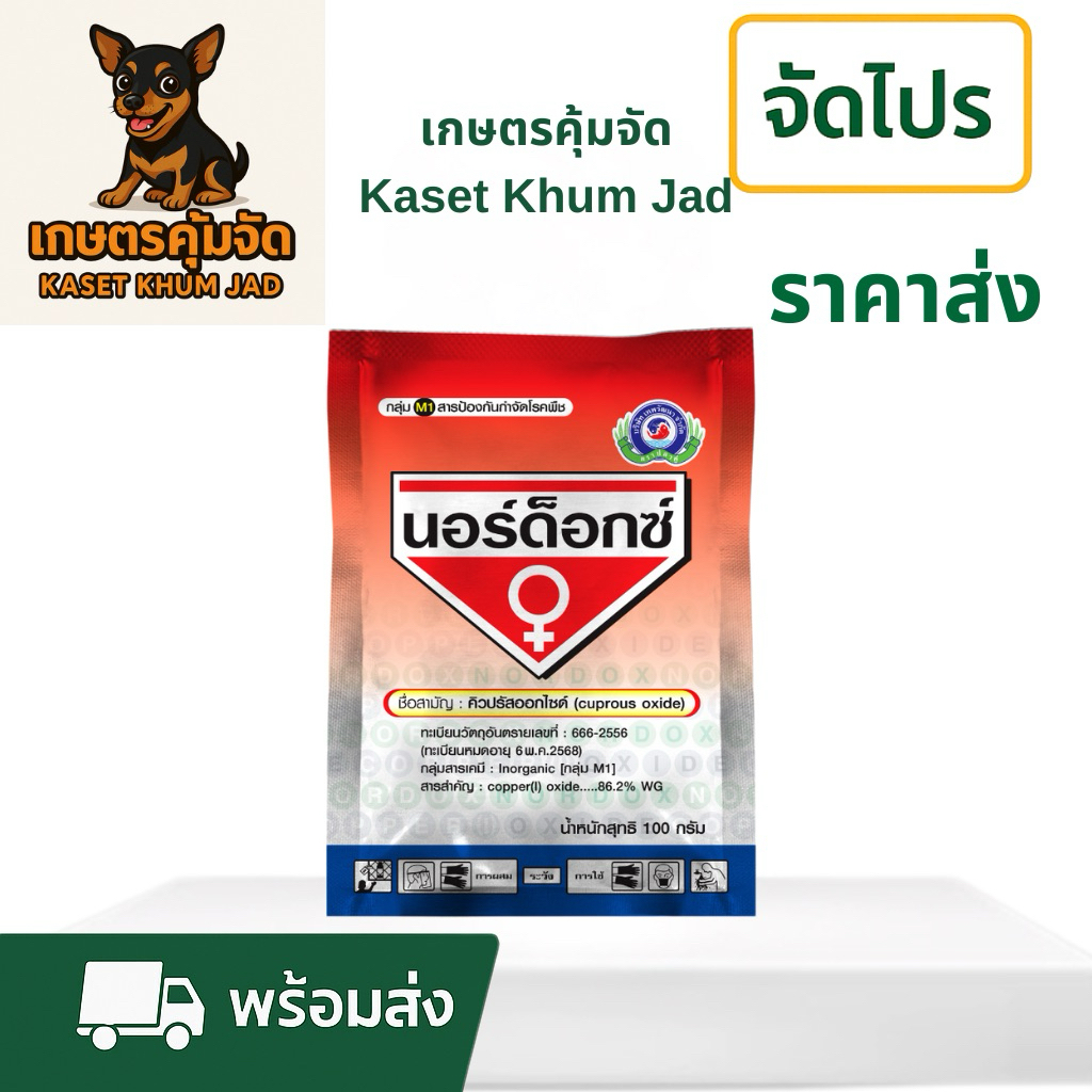 นอร์ด็อกซ์ 1 กก.– ป้องกันเชื้อราได้แม้ฝนตก!